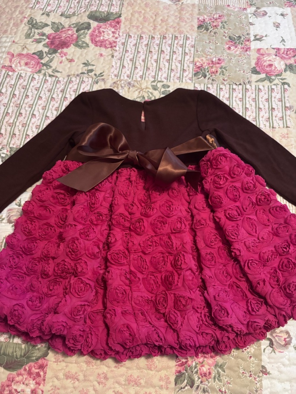 Bonnie Baby Fuchsia Rose Applique Dress with Brown Sash